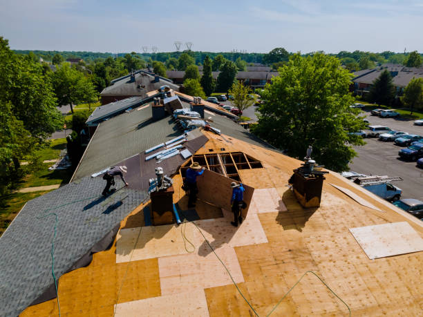 Best Roof Waterproofing Services  in Exandria, AL