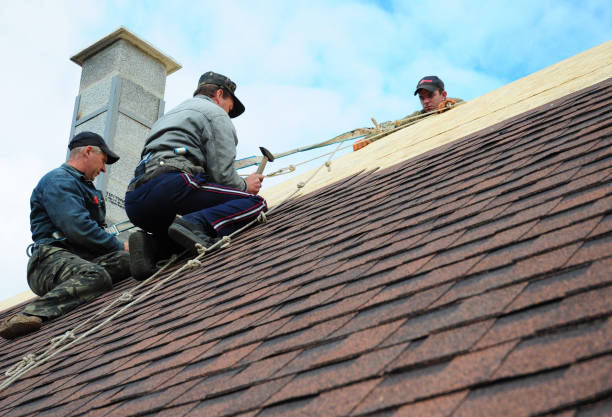 Best Roof Gutter Cleaning  in Exandria, AL