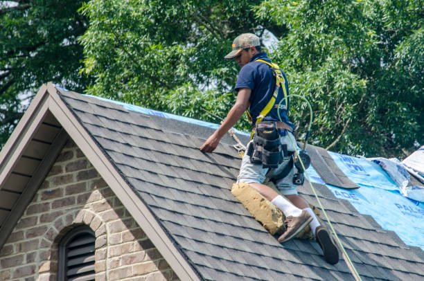 Best Storm Damage Roof Repair  in Exandria, AL