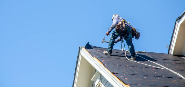 Roof Waterproofing Services in Alexandria, AL